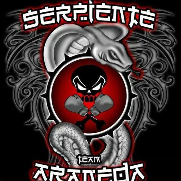 TEAM ARANEDA